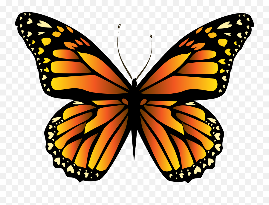 Download Butterflies Clipart Orange Png Image With No - Clipart Monarch Butterfly Png Emoji,Butterflies Clipart