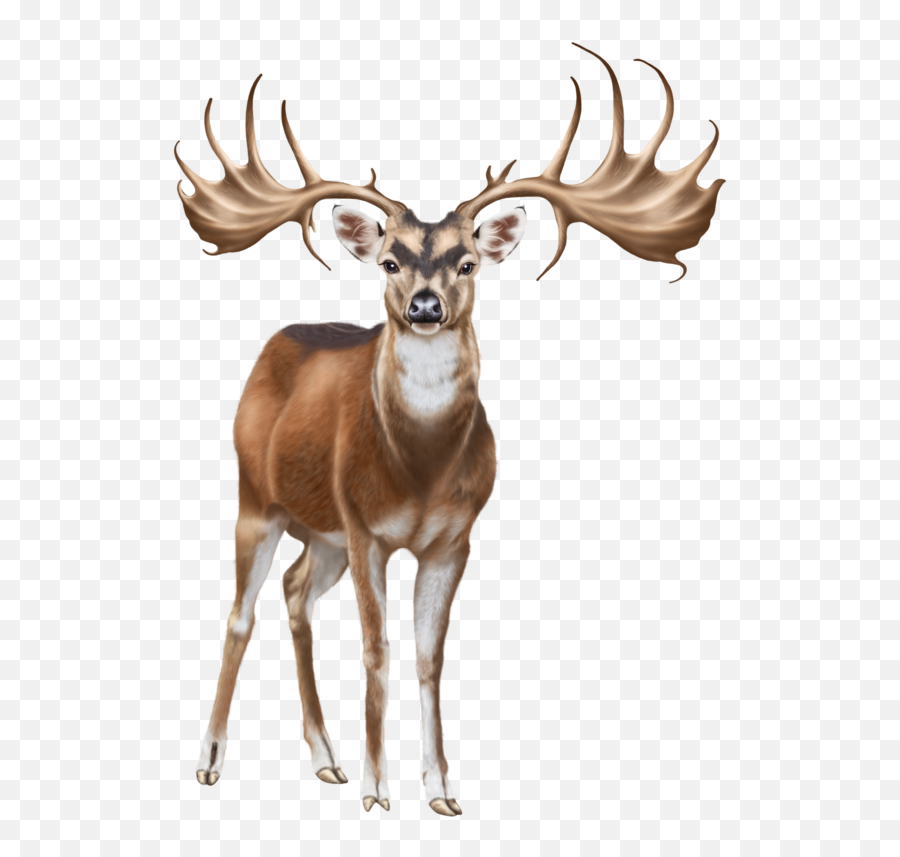 Deer Horns Transparent Png Emoji,Horns Transparent