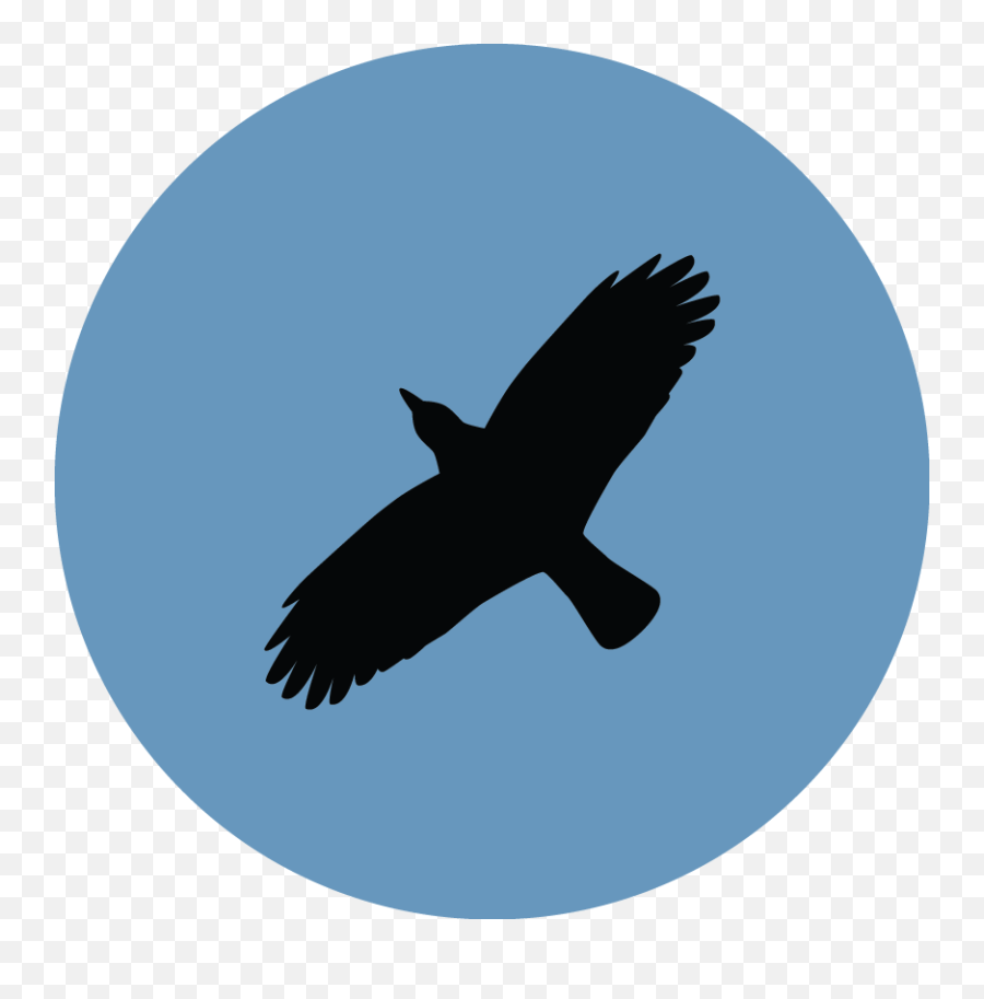 Transparent Slytherin Logo Png Transparent Slytherin Logo - Ravenclaw Icons Emoji,Slytherin Logo