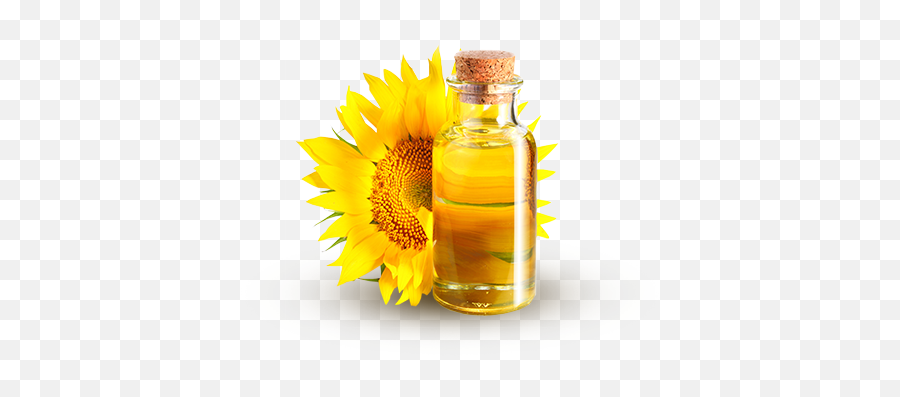 Sunflower Oil Png Clipart Web Icons Png - Sunflower Oil Png Emoji,Sunflower Png