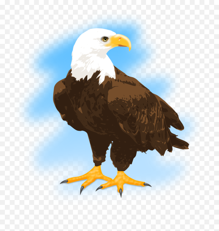 Eagle Clipart Feather - Bald Eagle Emoji,Eagle Clipart