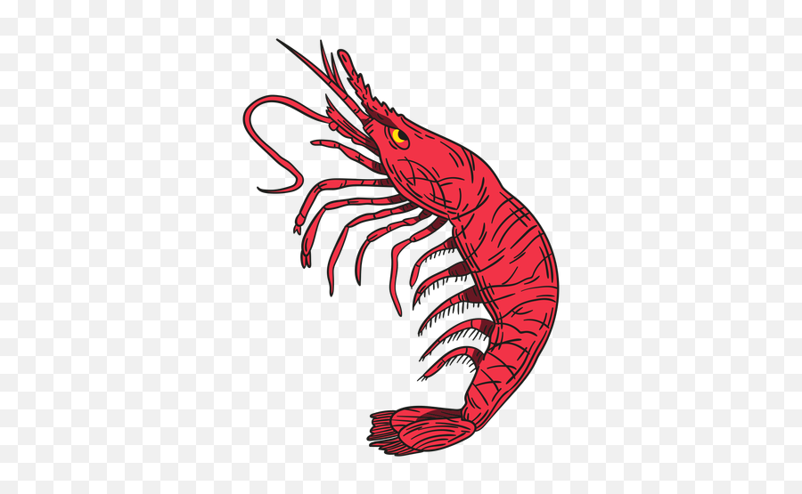 Illustration Shrimp - Individual Loteria Cards Emoji,Shrimp Png