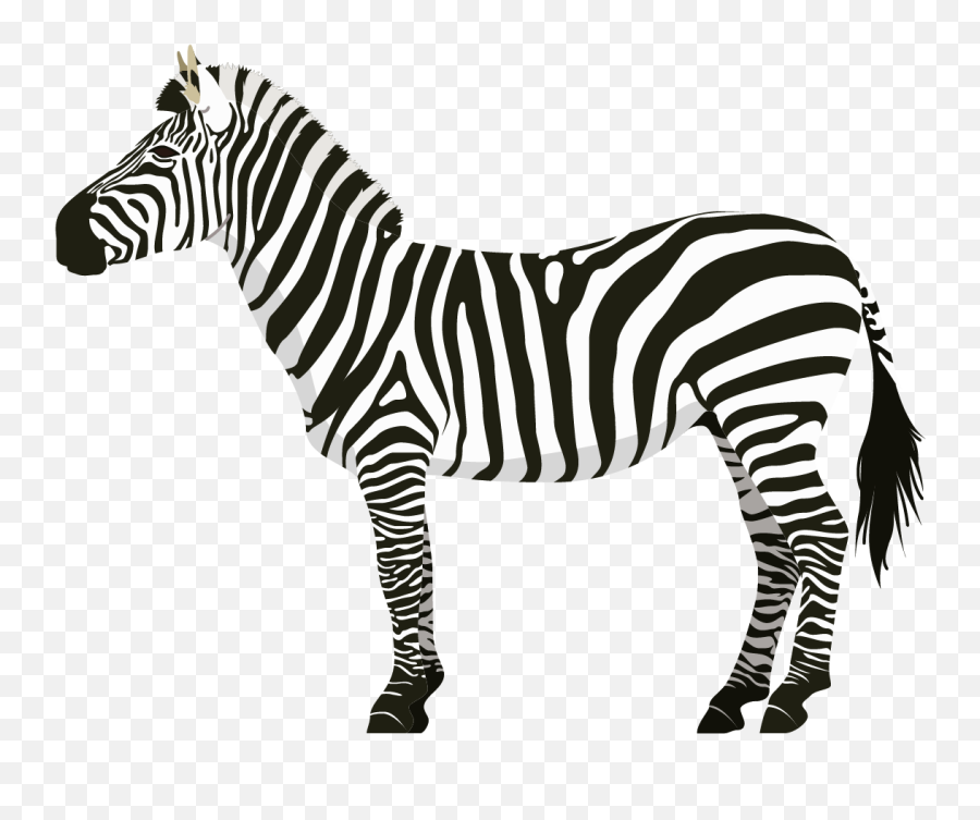 Zebra Unicorn Transparent Clipart - Full Size Clipart Transparent Zebra Clip Art Emoji,Zebra Clipart Black And White