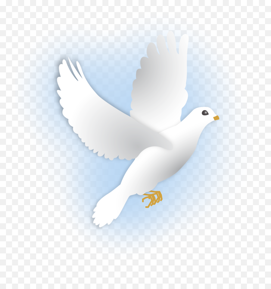 Dove Pictures Png Transparent Background Free Download - Homing Pigeon Emoji,White Dove Png