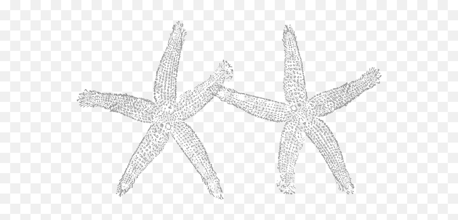 2 Light Gray Starfish Clip Art At Clkercom - Vector Clip Emoji,Starfish Transparent Background