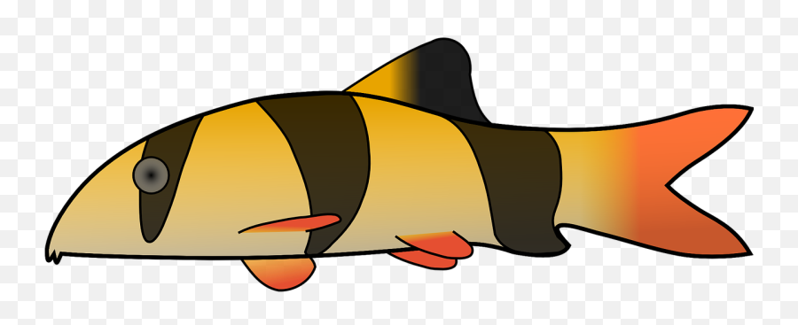 Clown Fish Stripes - Free Vector Graphic On Pixabay Emoji,Clownfish Png