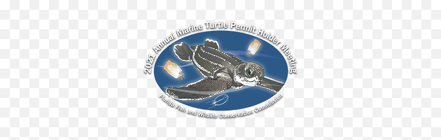 24th Annual Marine Turtle Permit Holders Meeting - Fish Emoji,Turtle Logo