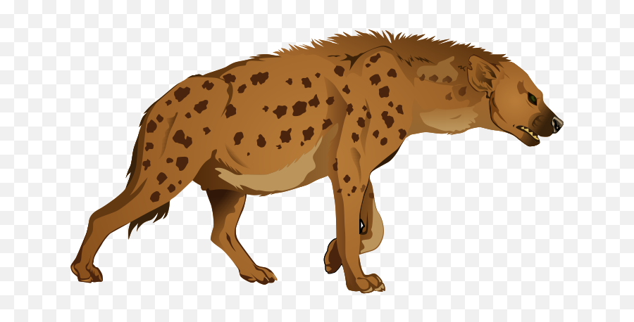 Hyena Png Alpha Channel Clipart Images - Hyena Clipart Emoji,Hyena Png