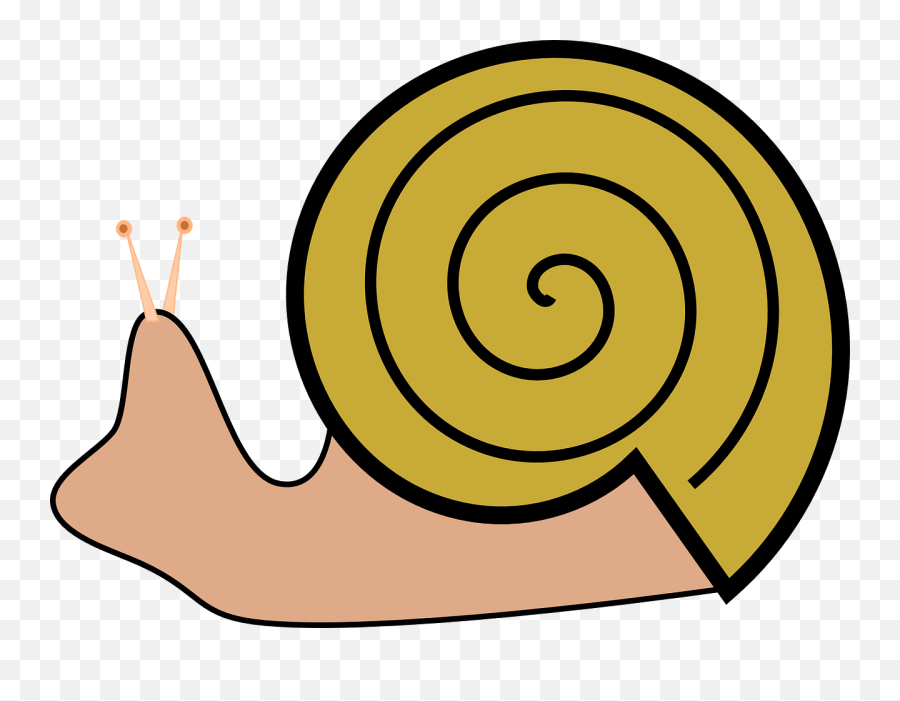Snail - Snail In A Shell Clipart Emoji,Snail Clipart