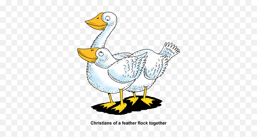 Image Two Geese - Christians Of A Feather Flock Together Emoji,Together Clipart