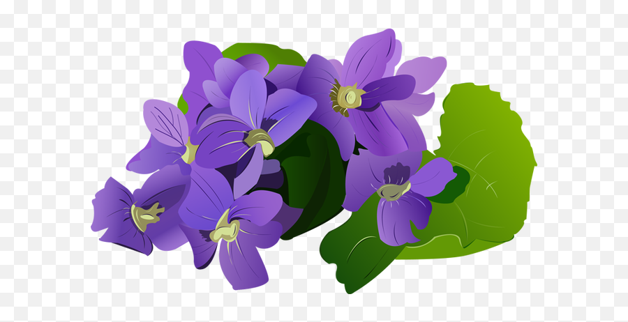Pontiacu0027s Rebellion An Overview Flower Clipart Flower - Violets Clipart Emoji,Flower Clipart