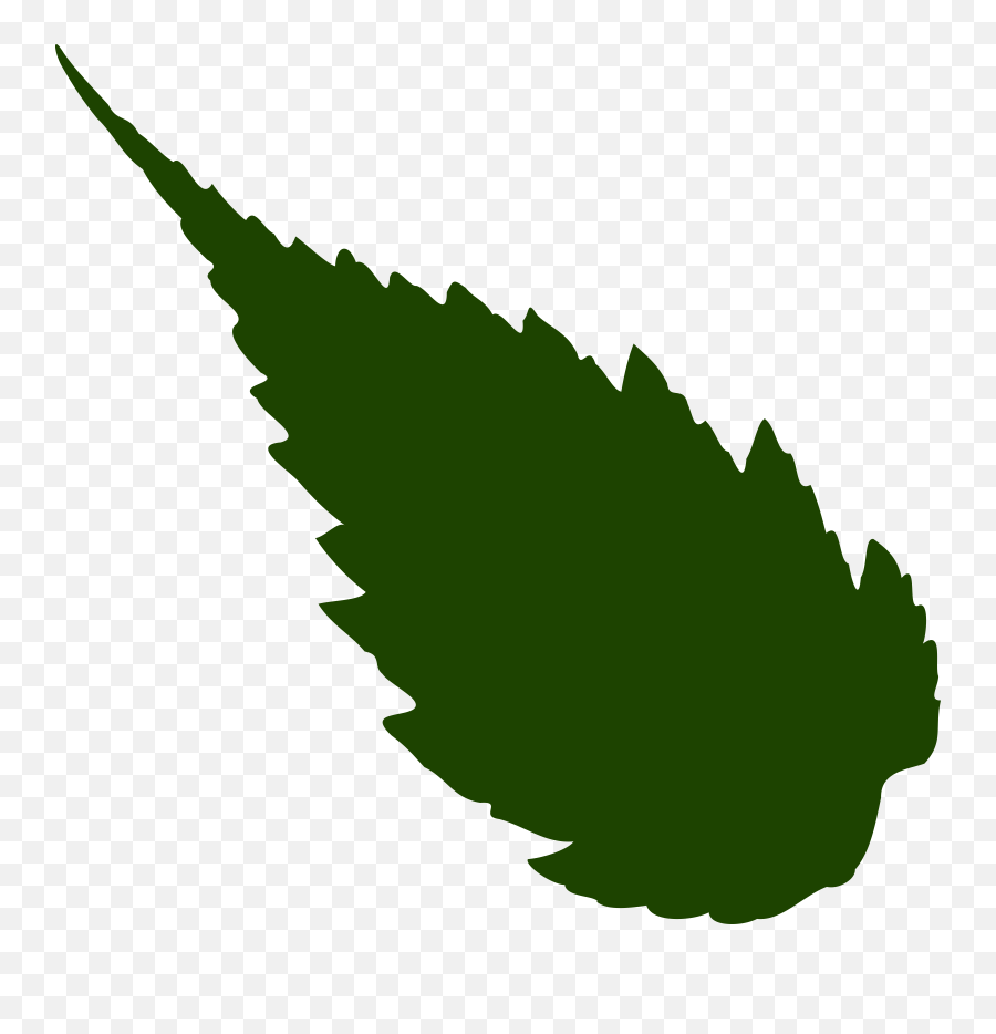 Leaf Foliage Greenery Tree Transparent Png Images U2013 Free Png Emoji,Greenery Clipart