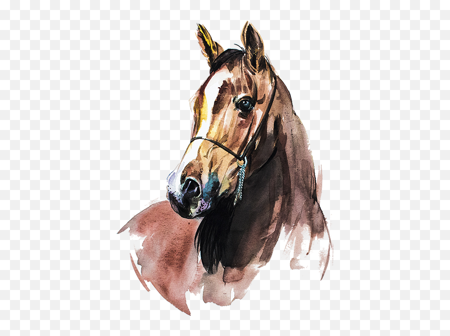 Horse Png Horse Clipart Transparet - Horse Water Color Emoji,Horse Png