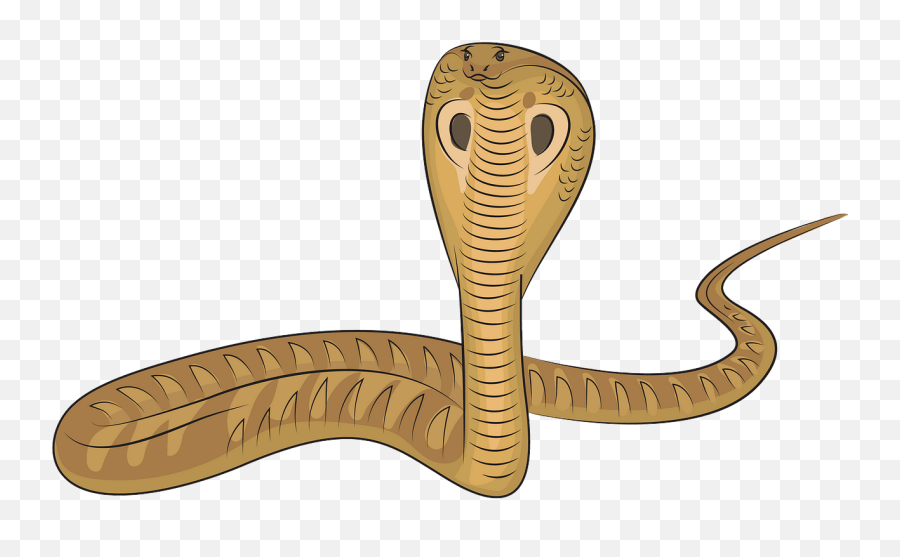 Snake King Cobra Clipart - Cobra Images Clip Art Emoji,Cobra Clipart