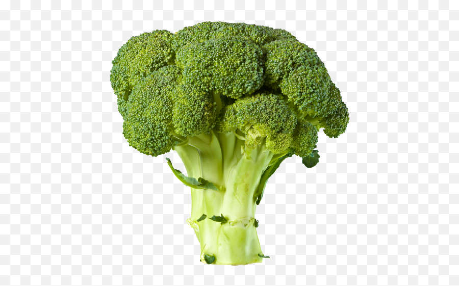 Broccoli Png Picture Hq Png Image - Broccoli Transparent Emoji,Broccoli Png