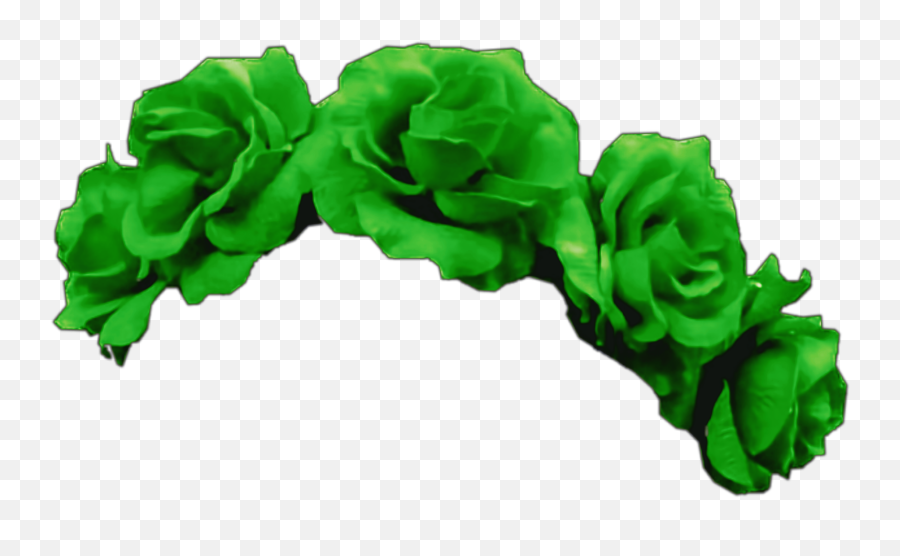 Green Flower Crown - Aesthetic Green Flower Crown Emoji,Crown Transparent