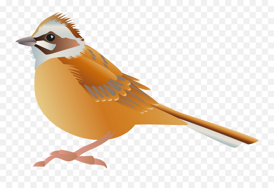 Meadow Bunting Bird Clipart Free Download Transparent Png Emoji,Bunting Clipart
