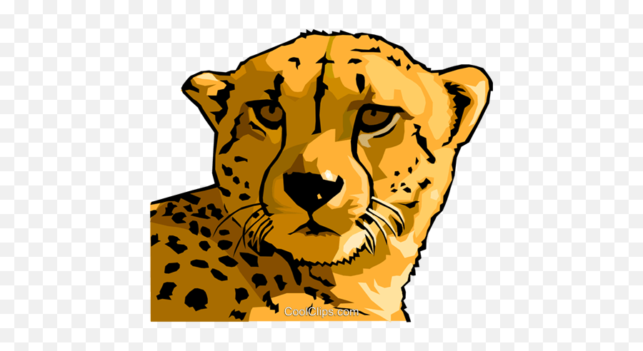 Cheetah Royalty Free Vector Clip Art - Cartoon Cheetah Faces Emoji,Cheetah Clipart