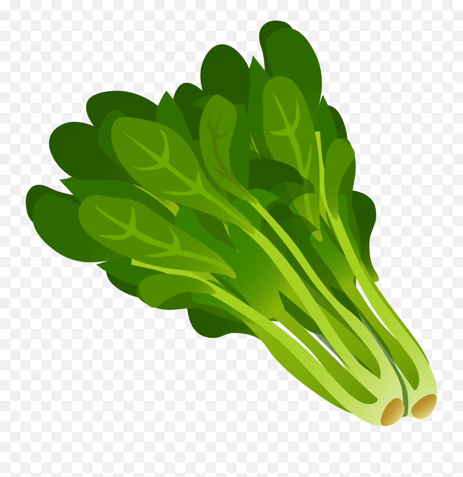 Lettuce Clipart Clip Art Lettuce Clip - Green Leafy Vegetables Clipart Emoji,Lettuce Clipart