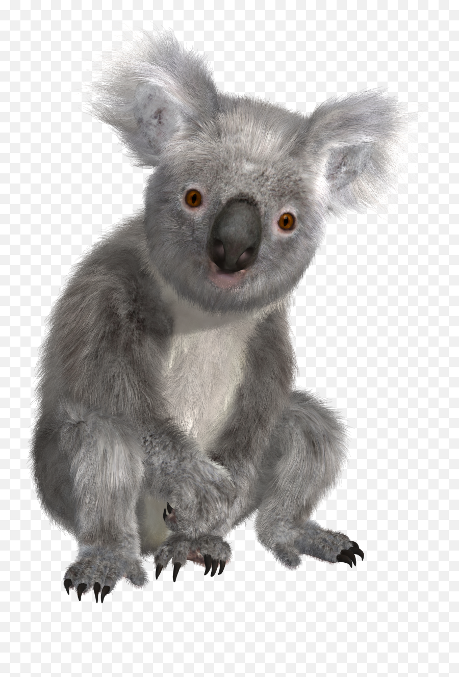 Koala Png - Koala Transparent Emoji,Animal Png