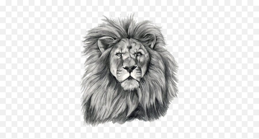 Lion Tattoo Png Transparent Free Images - Transparent Lion Tattoo Png Emoji,Face Tattoo Png