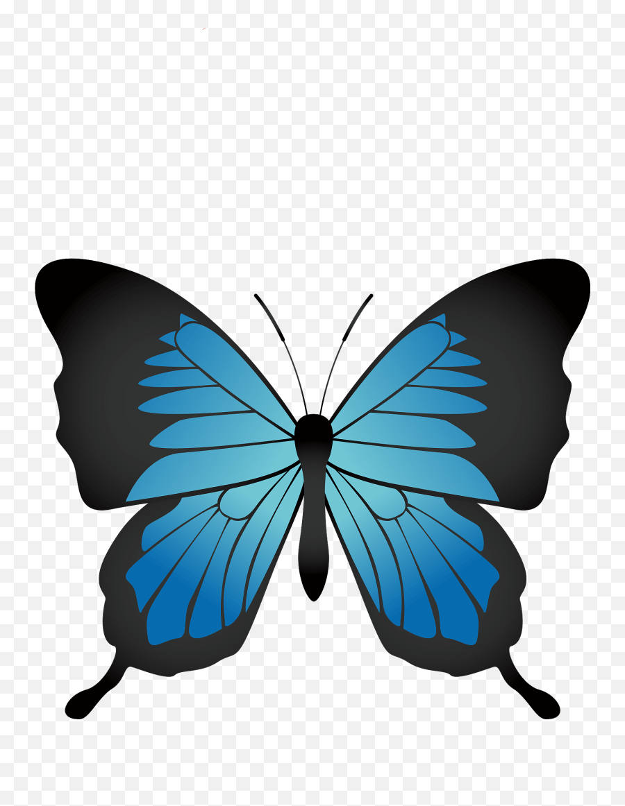 Butterfly Insect Clipart Free Download Transparent Png Emoji,Butterflies Clipart