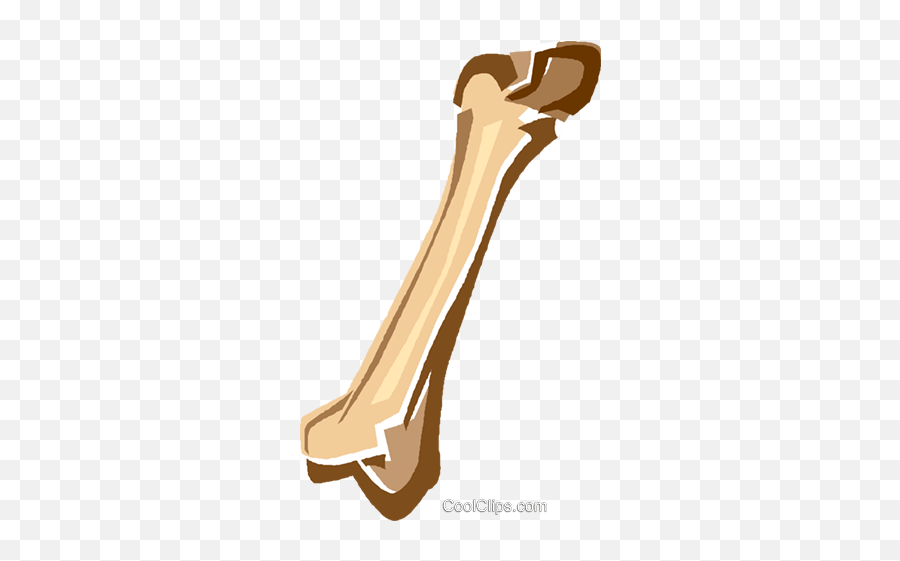 Human Bones Royalty Free Vector Clip Art Illustration - Human Bone Clipart Png Emoji,Bone Clipart
