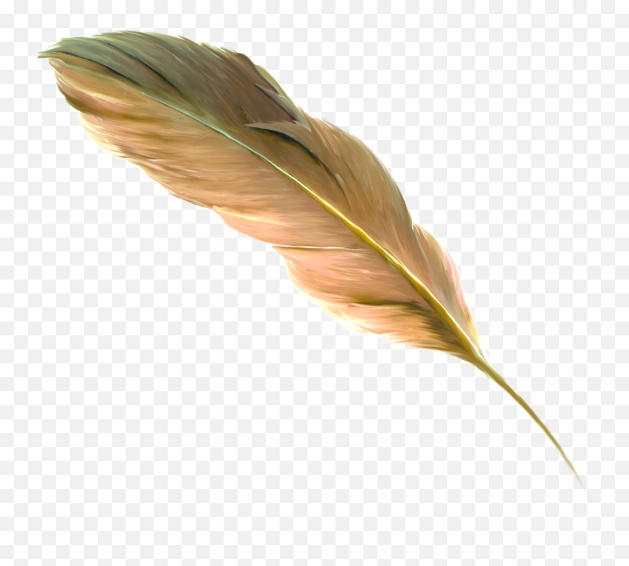 The Floating Feather Brown - Brown Feathers Png Download Animal Product Emoji,Feather Png
