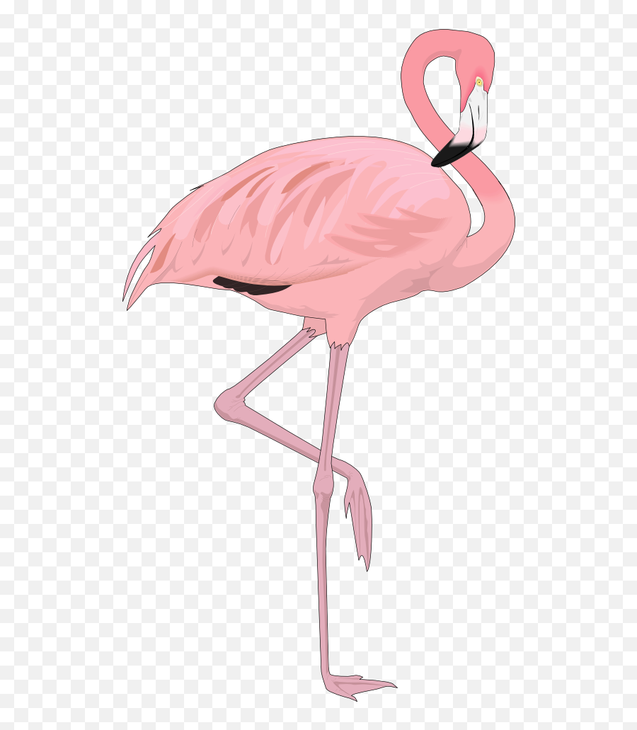 Flamingo - Flamingo Clip Art Emoji,Flamingo Clipart