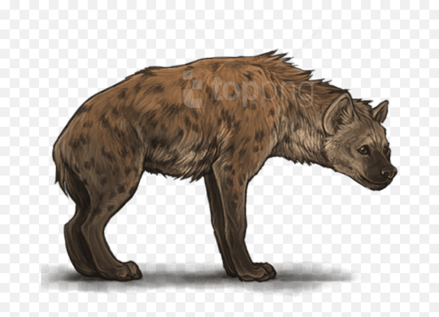 Download Free Png Hyena Png Images - Hyena Transparent Background Emoji,Hyena Png
