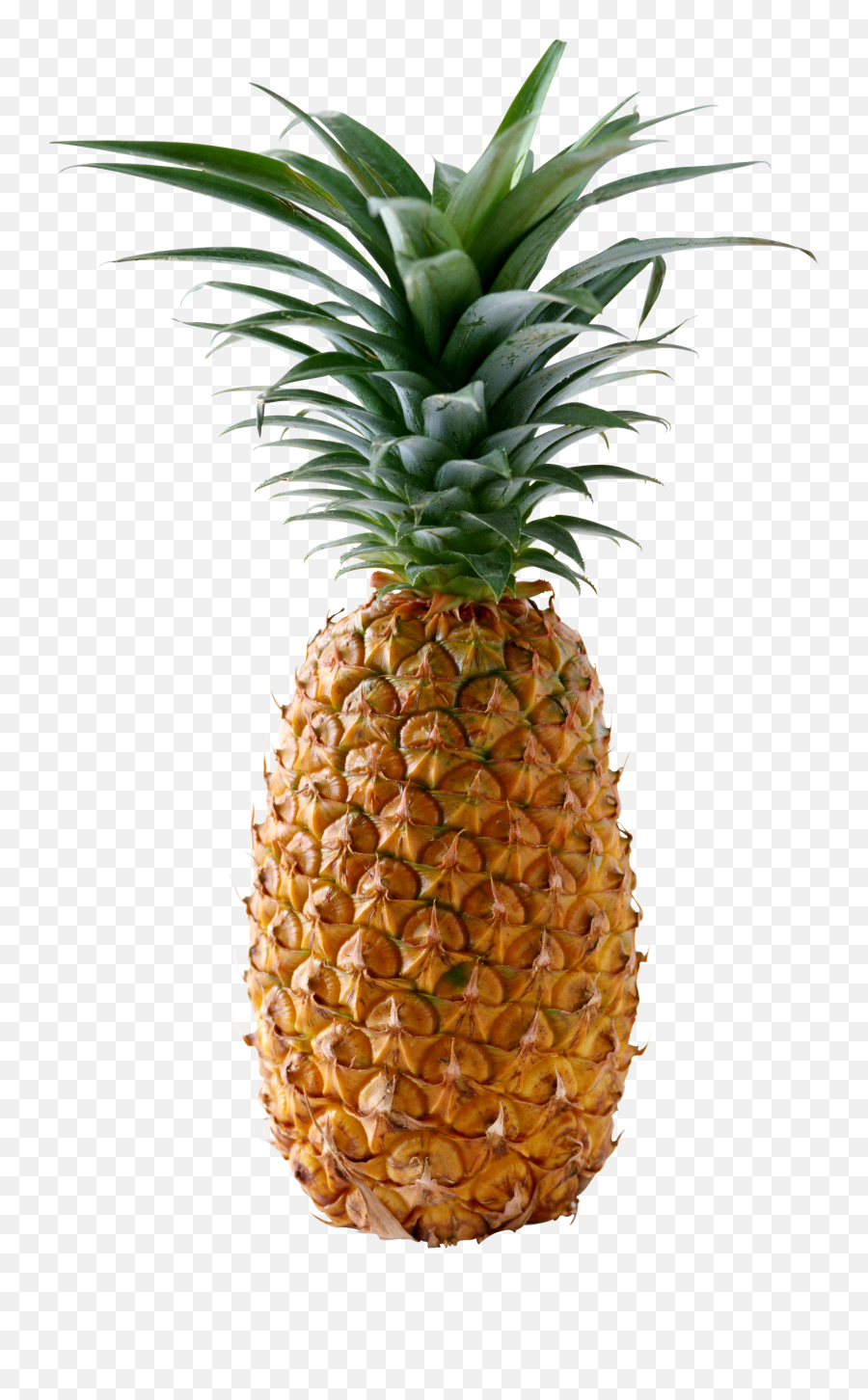 Pineapple Png Image Free Download - Pineapple Png Emoji,Pineapple Png