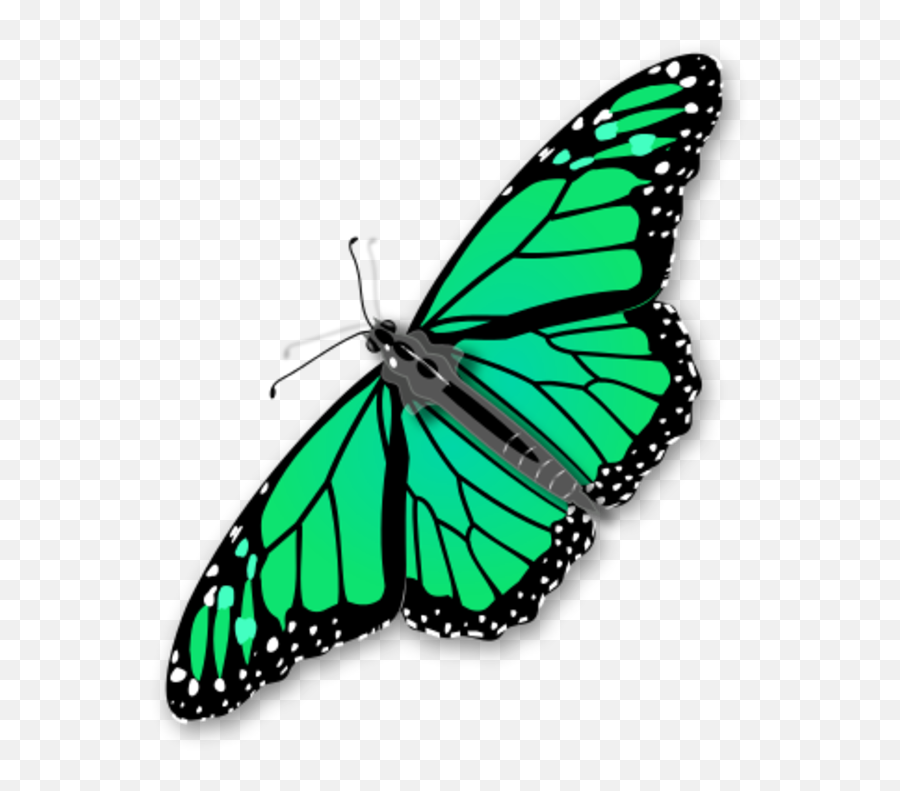 Monarch Butterfly Butterflies Images Clip Art Image - Transparent Transparent Background Transparent Butterfly Green Emoji,Butterflies Clipart