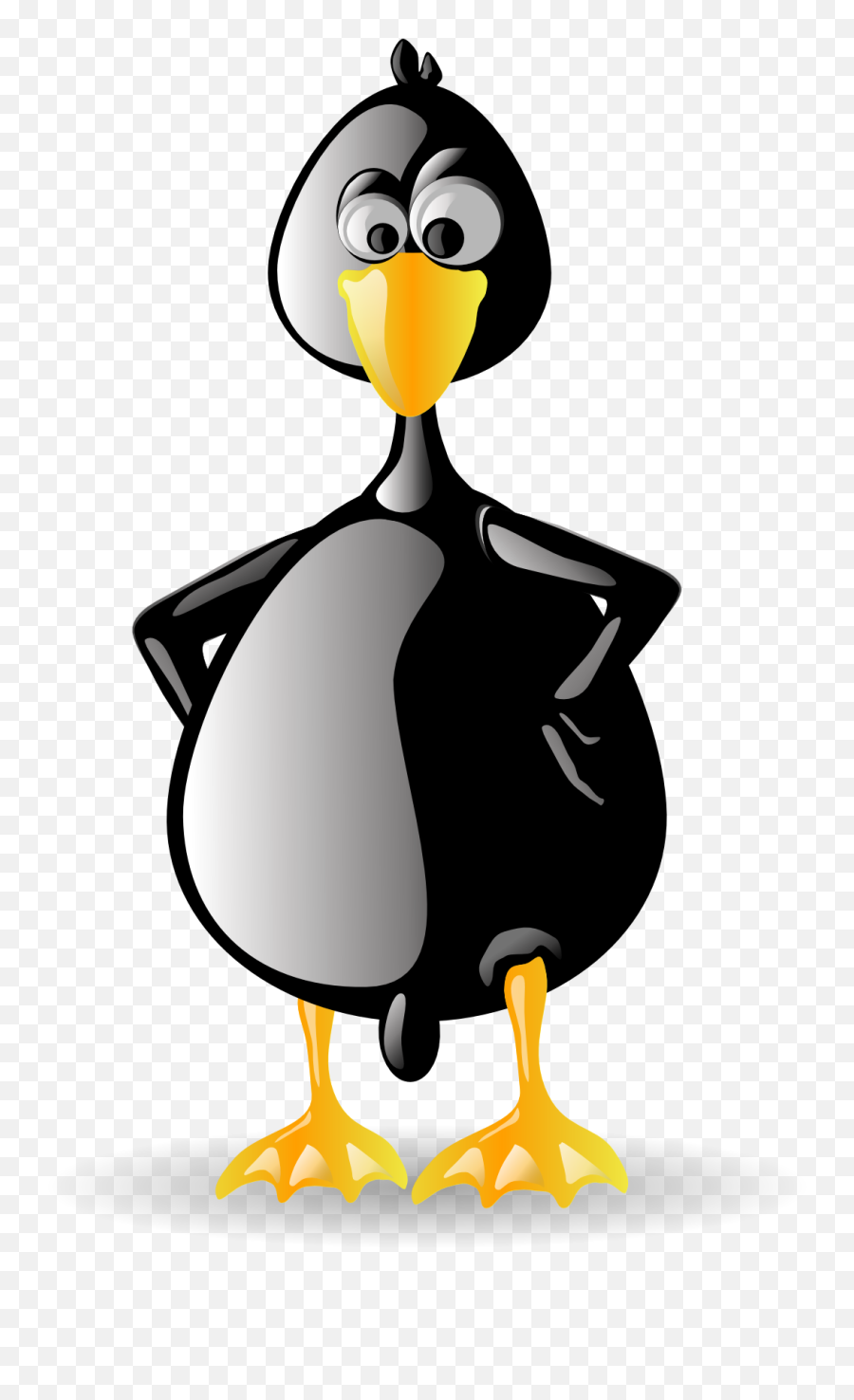 Free Photo Animal Penguin Zoo Linux Black Tux Beak Bird Emoji,Tuxedo Clipart Black And White