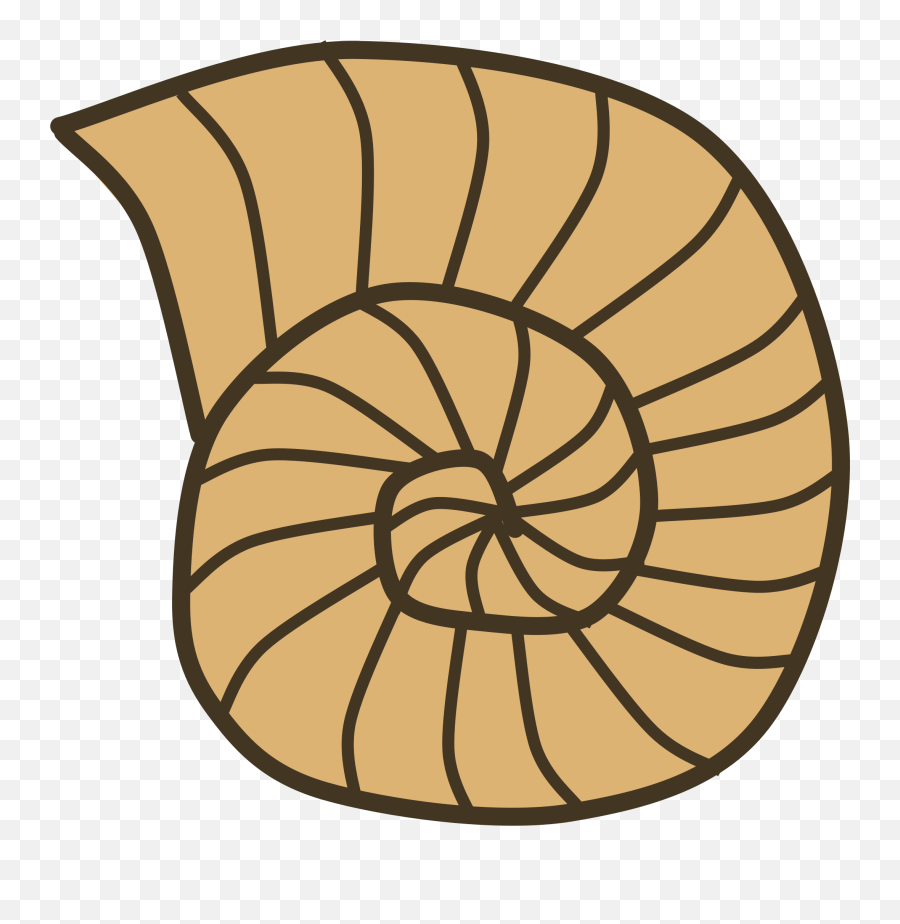Library Of Snail Shell Graphic Royalty - Cartoon Snail Shell Png Emoji,Snail Clipart