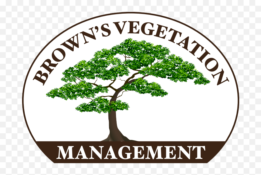 Tree Services Rockhampton Browns Vegetation Management Emoji,Vegeta Logo