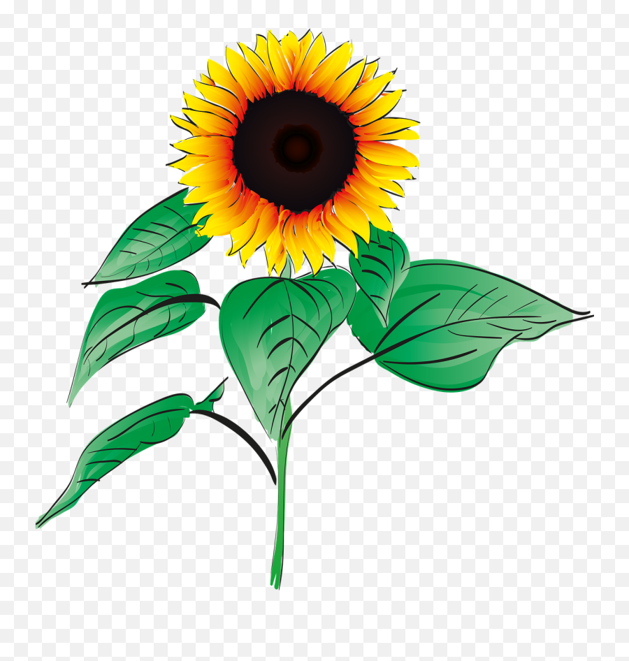 Sunflower Summer Plant - Free Vector Graphic On Pixabay Emoji,Summer Flower Clipart