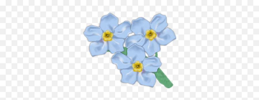 Not Transparent Picture Hq Png Image - 3 Forget Me Not Emoji,Forget Me Not Flowers Clipart