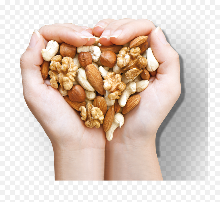 Meray - Handful Of Nuts Png Emoji,Nut Png