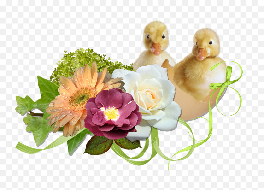 Spring Easter Cute Ducklings Chicks Egg Hatchspring - Floral Emoji,Hatch Png