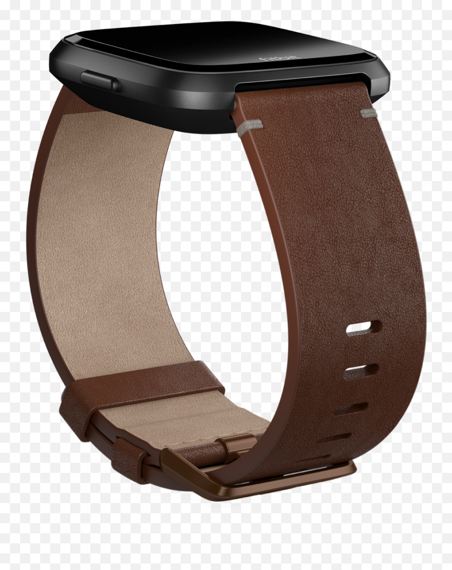 Leather Smartwatch Bands Shop Fitbit Versa 2 Versa U0026 Versa Lite Accessories Emoji,Leather Png