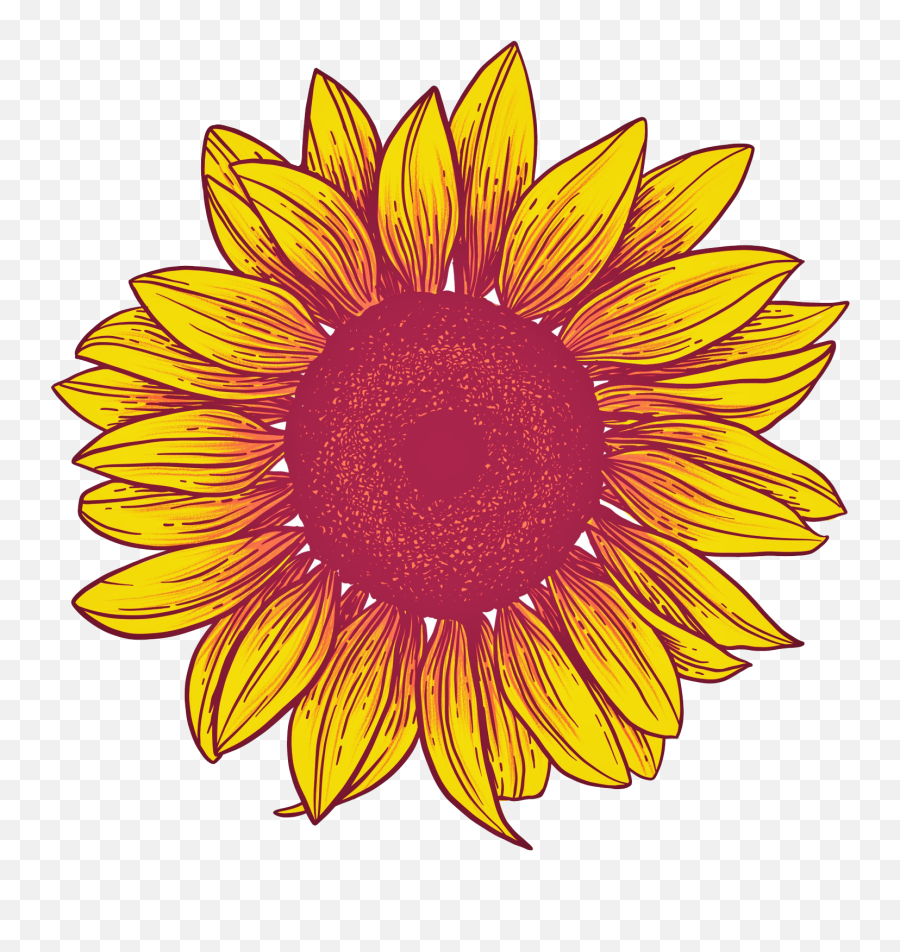 Sunflower Background Png U0026 Free Sunflower Backgroundpng - Transparent Background Sunflower No Background Emoji,Sunflower Png