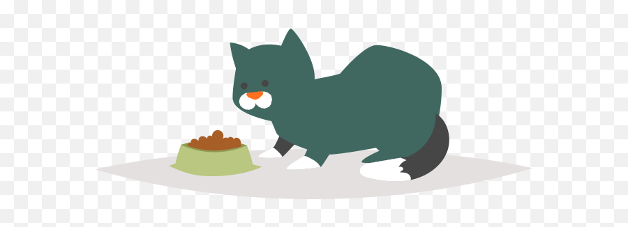 Kitten Feeding Timeline Emoji,Cat Food Clipart