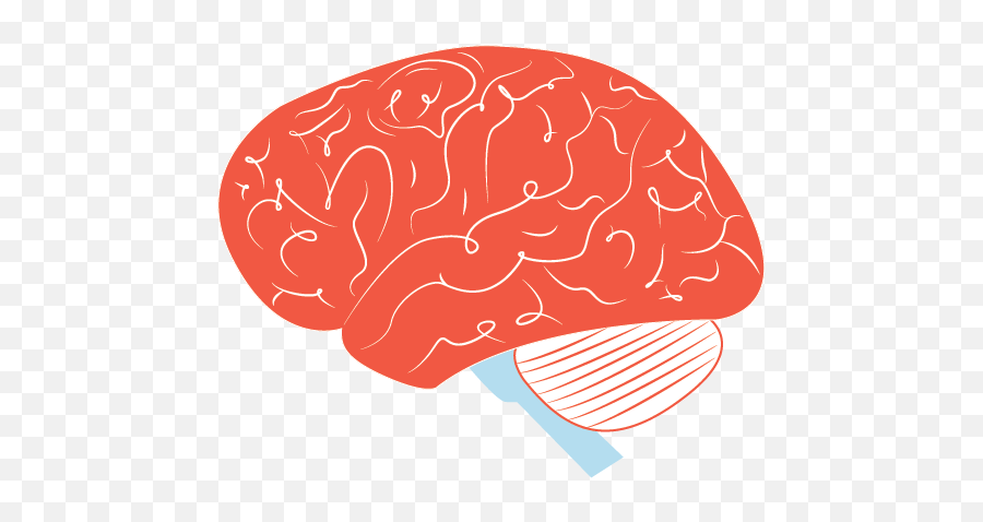 Brain Basics U2014 Oc - Brain Emoji,Brain Png