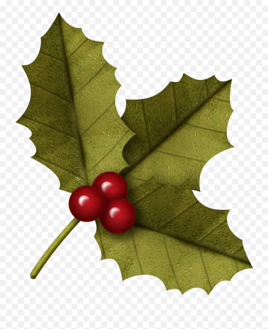 Christmas Holly Clip Art - Christmas Leaf Png Emoji,Holly Clipart