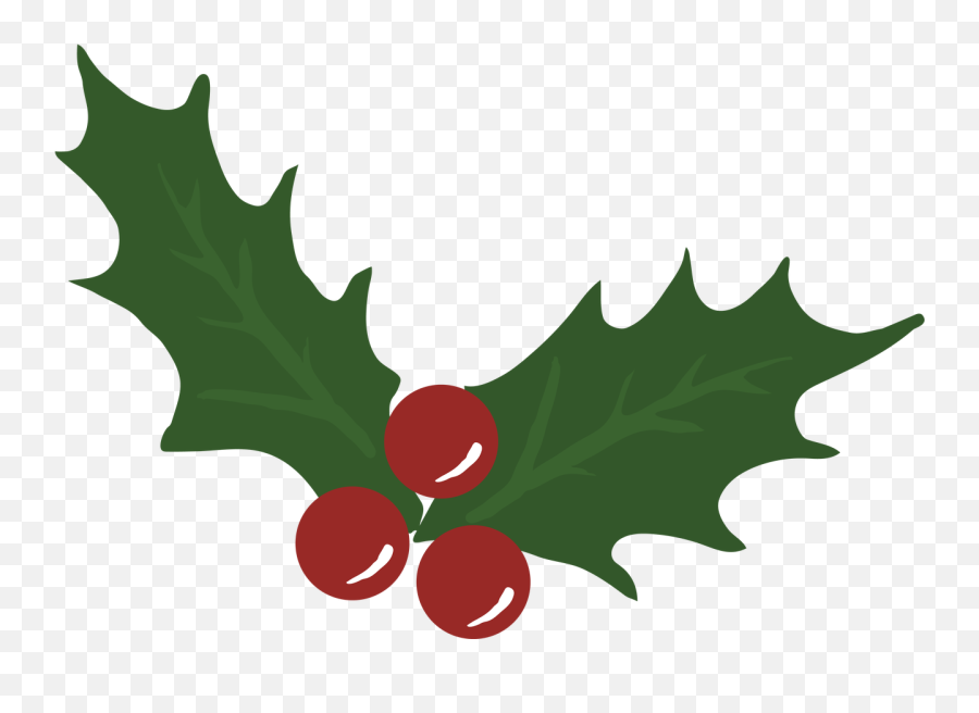 Mistletoe - Mistletoe Illustration Png Emoji,Mistletoe Transparent