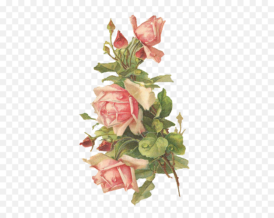 Pink Roses Digital Emoji,Vintage Roses Png