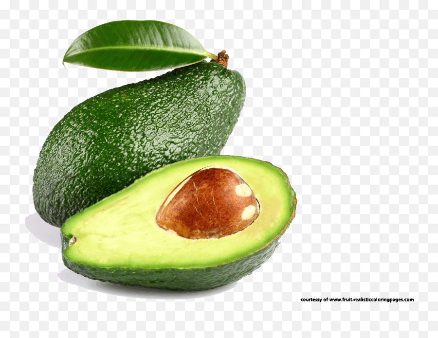 Download Avocado Tree Clipart Black And - Avocado On Tree Clipart Emoji,Avocado Clipart