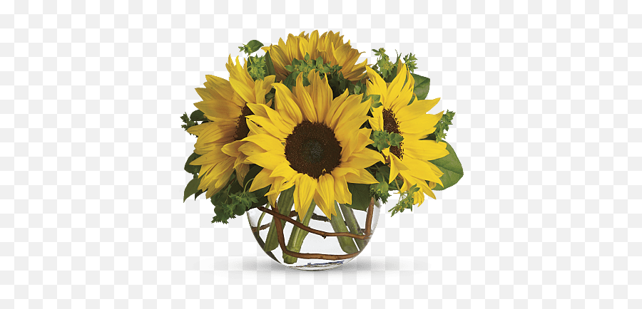 Sunflower Flower Meaning U0026 Symbolism Teleflora - Sunny Sunflowers Teleflora Emoji,Sunflower Png
