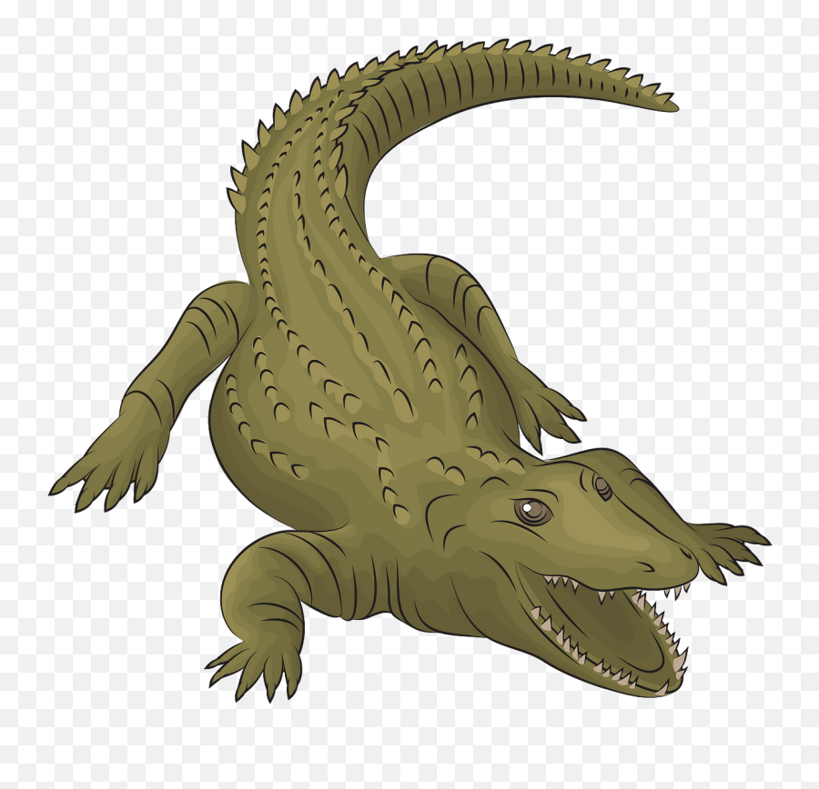 Crocodile Clipart - Animal Figure Emoji,Crocodile Clipart