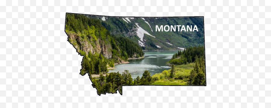 Blackfoot River Montana Fly Fishing - Valdivian Temperate Rain Forest Emoji,Transparent Water In Montana